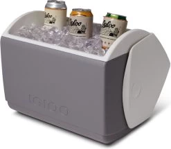 Igloo Playmate Elite - Kleine Koelbox - 15,2 Liter - Grijs -Buiten Kamperen 1200x1046 2