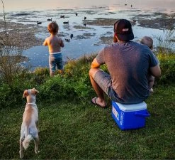 Coleman 16QT Performance Tricolor Koelbox - 15L - Blauw/Grijs -Buiten Kamperen 1200x1094 4