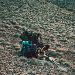 LOWLAND OUTDOOR® Donzen Slaapzak - Super Compact Blanket - 210 X 80 Cm - 590gr +8°C -Buiten Kamperen 1200x1196 14