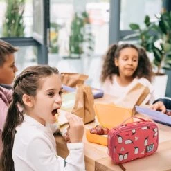 Brisby 4 Laags Geïsoleerde Koeltas - Lunchtas 1.5 Liter - Roze Pinguïn -Buiten Kamperen 1200x1200 524