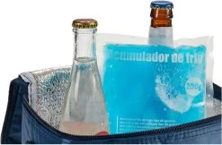 Arte R Koelelementen/icepacks - Herbruikbaar - 15 X 13 X 2 Cm -Buiten Kamperen 1200x789