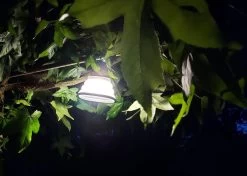 Solar Led Camping Lamp - Tent Verlichting Oplaadbaar - Solar Lantaarn Tafellamp Opvouwbare Campinglamp - King Mungo 18 Solar Led Camping Lamp - Tent Verlichting Oplaadbaar - Solar Lantaarn Tafellamp Opvouwbare Campinglamp - King Mungo -Buiten Kamperen 1200x854 4