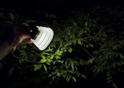 Solar Led Camping Lamp - Tent Verlichting Oplaadbaar - Solar Lantaarn Tafellamp Opvouwbare Campinglamp - King Mungo 21 Solar Led Camping Lamp - Tent Verlichting Oplaadbaar - Solar Lantaarn Tafellamp Opvouwbare Campinglamp - King Mungo -Buiten Kamperen 1200x856 3