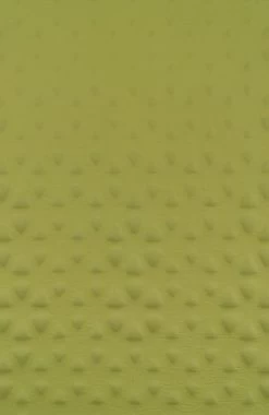 Sea To Summit Camp S.I. Regular Zelf Opbaasbare Slaapmat - 3.8cm - 780g - Groen -Buiten Kamperen 781x1200