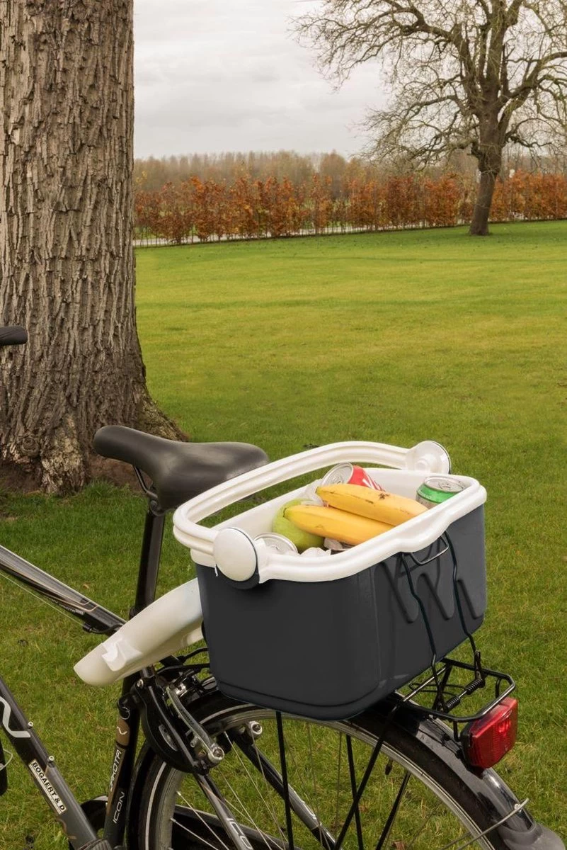 Curver Koelbox - 10L - Grijs 4 Curver Koelbox - 10L - Grijs - Afbeelding 2