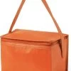 Merkloos Klein Mini Koeltasje - Sixpack Blikjes - Compacte Koelbox/koeltassen En Elementen - Oranje -Buiten Kamperen 873x1200 1